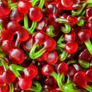 Twin Cherries - 750 gram