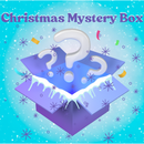 £15 Christmas Mystery Box